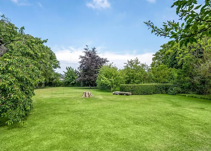 Amazing In * Tranekaer